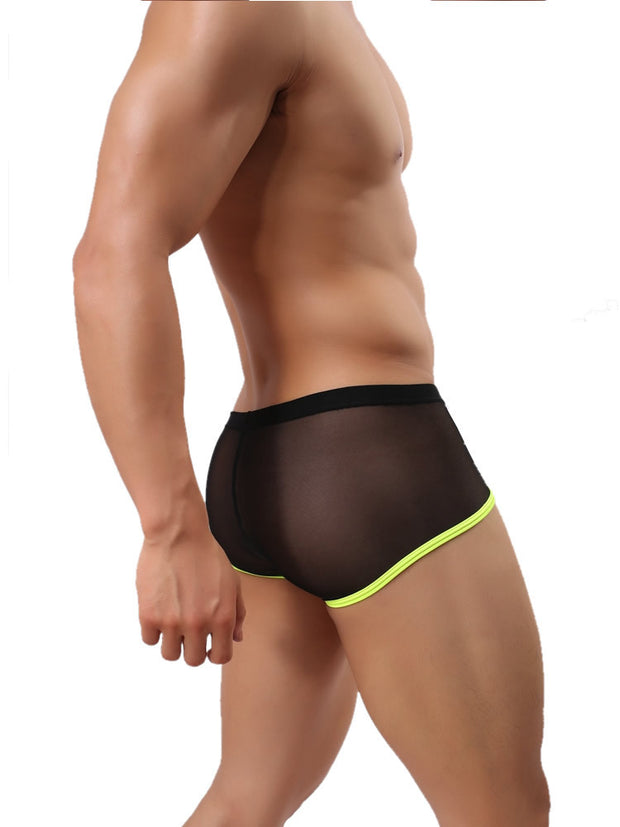 Men's Mesh Sexy Boxer U-convex Pants